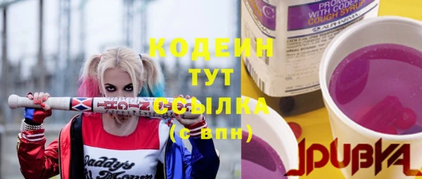 дживик Верея