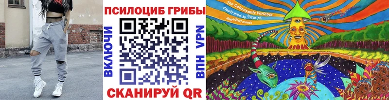 мега ССЫЛКА  Майкоп  Псилоцибиновые грибы MAGIC MUSHROOMS  купить  сайты 