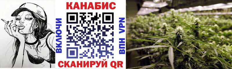 Каннабис индика  Майкоп 